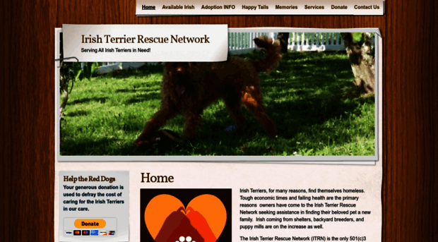 irishterrierrescuenetwork.org