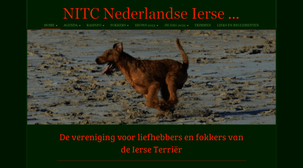 irishterriers.nl
