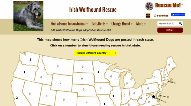 irishwolfhound.rescueme.org