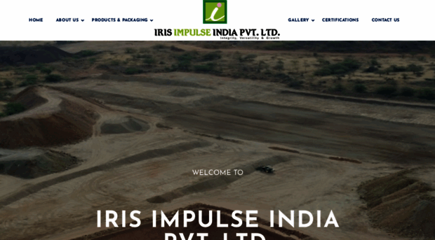 irisimpulse.com
