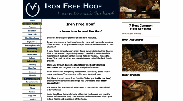 ironfreehoof.com