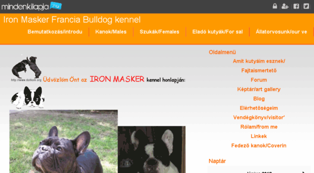 ironmasker.mlap.hu