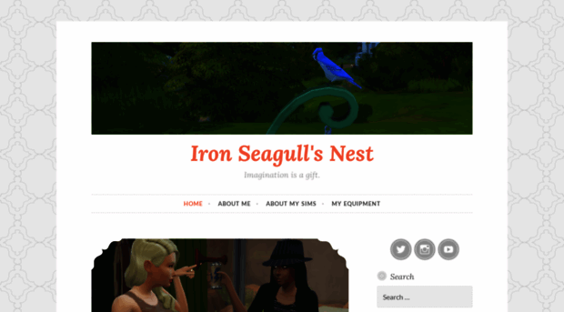 ironseagull.com