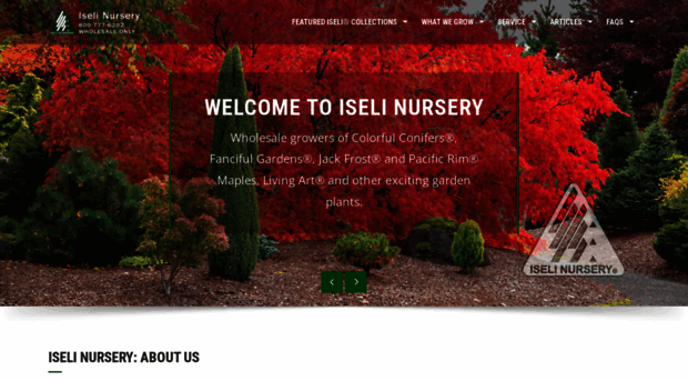 iselinursery.com