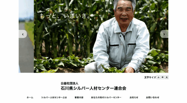 ishikawa-silver.com