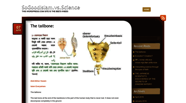 islamvsscience.wordpress.com
