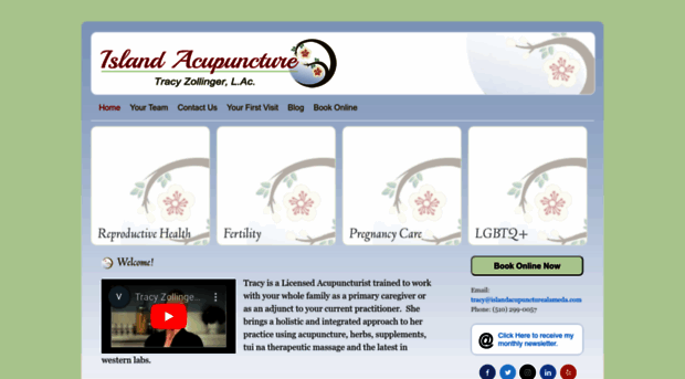 islandacupunctureandfertility.com