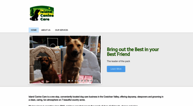 islandcaninecare.ca