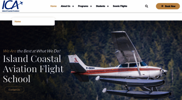 islandcoastalaviation.com