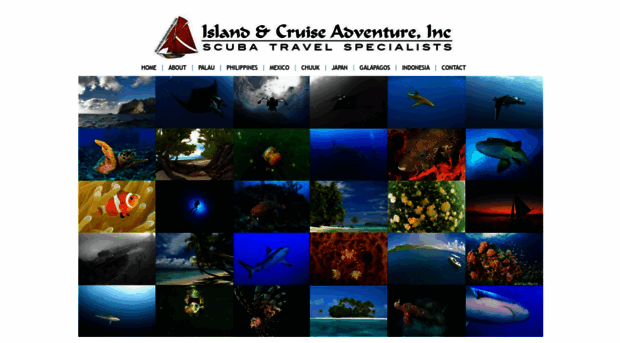 islandcruiseadventure.com