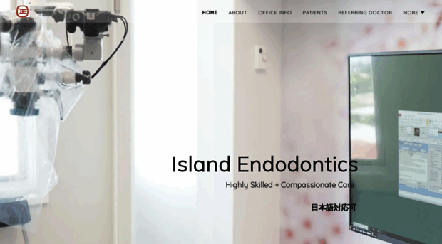 islandendohawaii.com