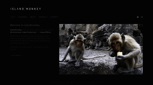 islandmonkey.net