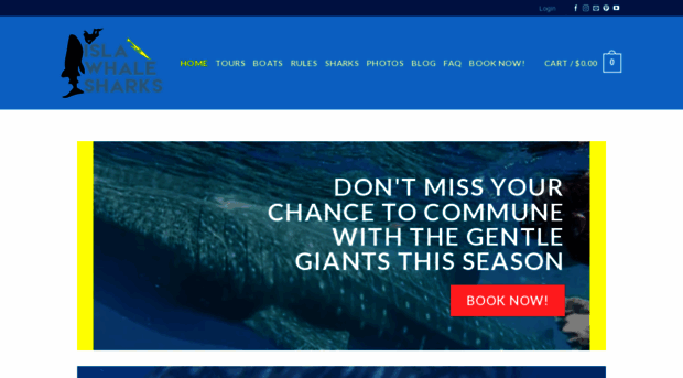 islawhalesharks.com