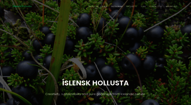 islenskhollusta.is