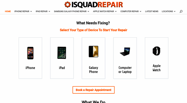 isquadrepairsandiego.com