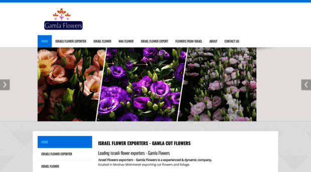 israel-flowers.net
