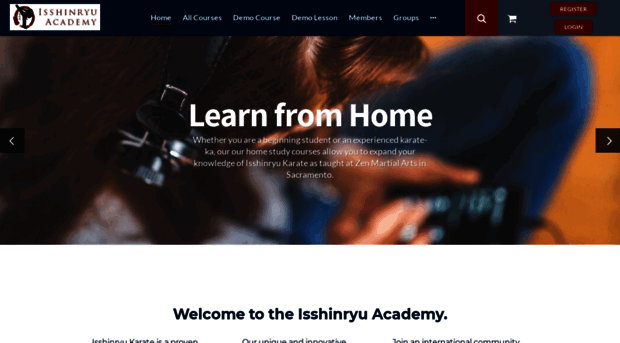 isshinryuacademy.com