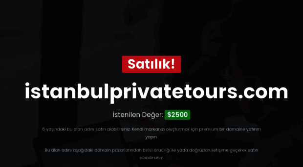 istanbulprivatetours.com