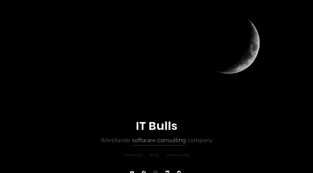 it-bulls.com
