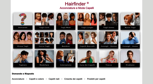 it.hairfinder.com