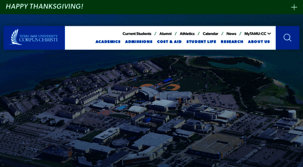 it.tamucc.edu