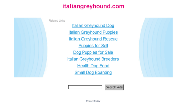 italiangreyhound.com