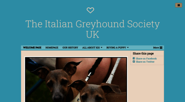 italiangreyhoundsocietyuk.com