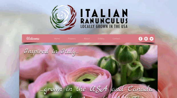 italianranunculus.com