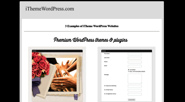 ithemewordpress.com