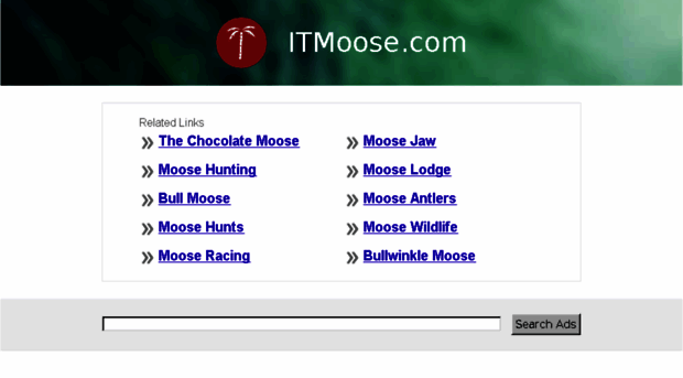 itmoose.com