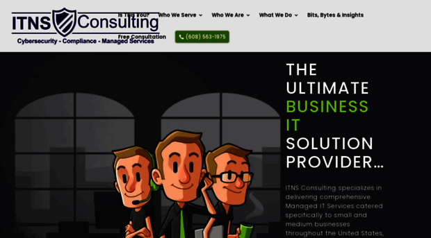 itnsconsulting.com