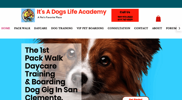 itsadogslifeacademy.com