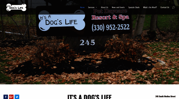 itsadogslifepetdaycare.com