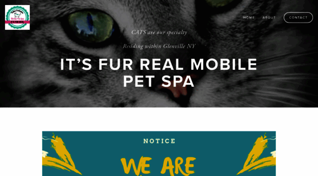itsfurrealmobilepetspa.com