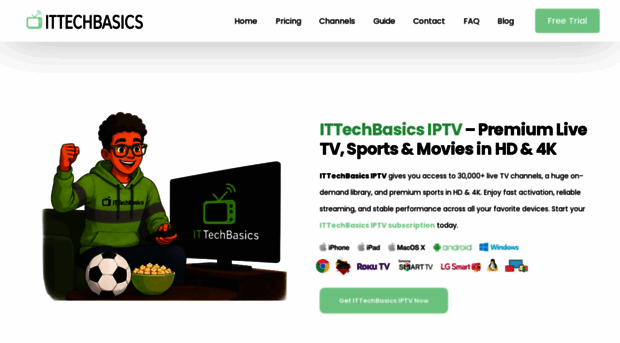 ittechbasicsiptv.io