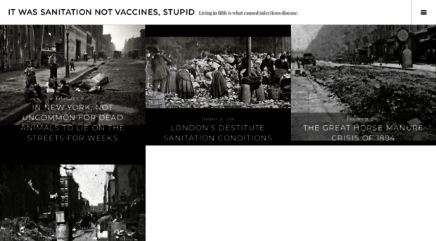 itwassanitationnotvaccinesstupid.wordpress.com