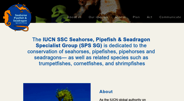 iucn-seahorse.org