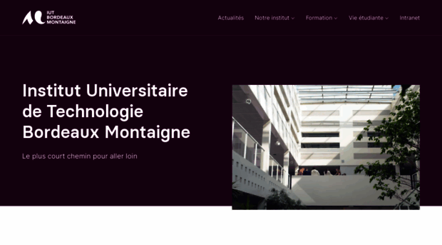 iut.u-bordeaux-montaigne.fr