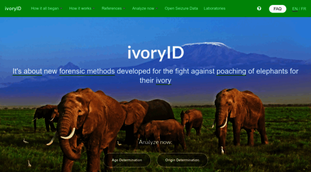 ivoryid.org