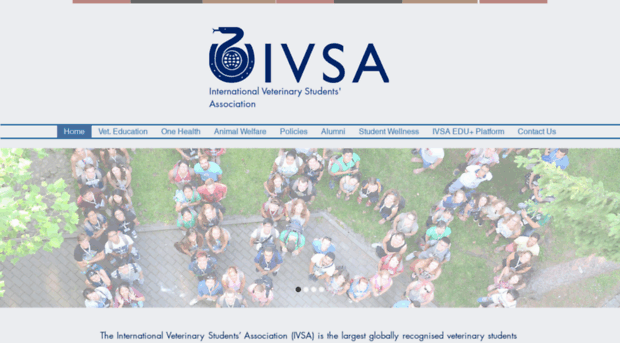 ivsa-committees.org