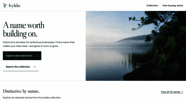 ivylake.com