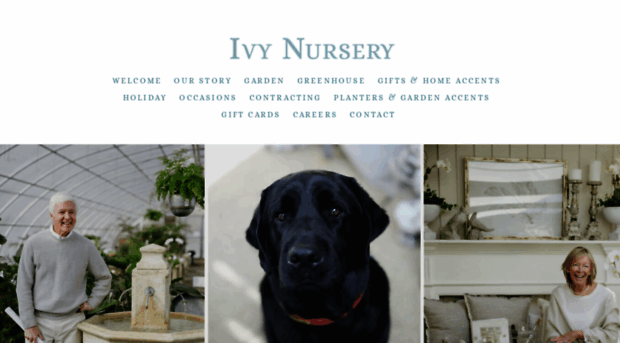 ivynursery.com