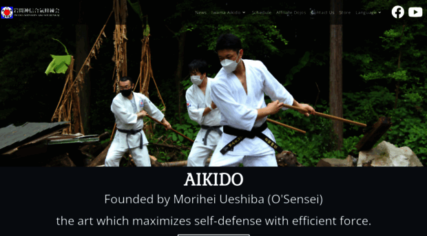 iwamashinshinaikido.com