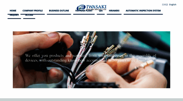 iwasakidenki.co.jp