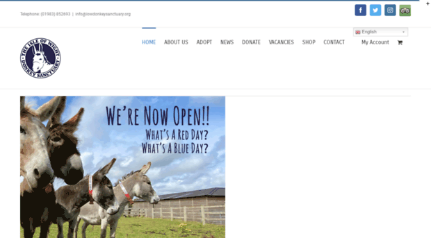 iwdonkey-sanctuary.com