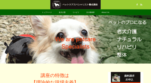 j-petcare.org