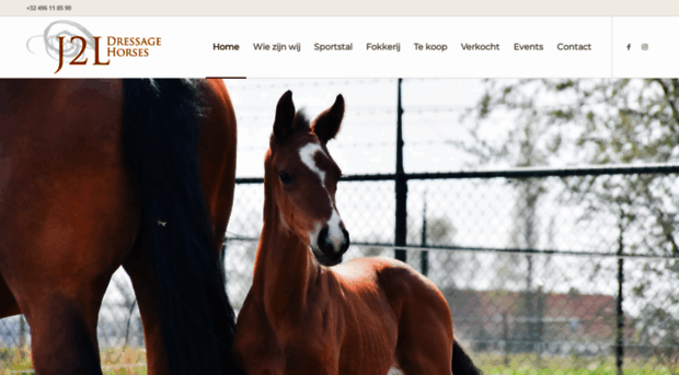 j2lhorses.com