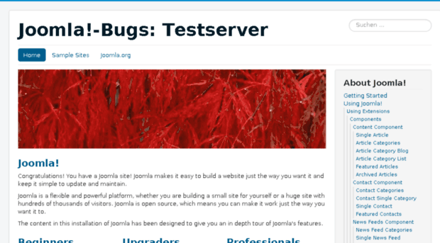 j31.joomla-bugs.de