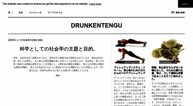 ja.drunkentengu.com