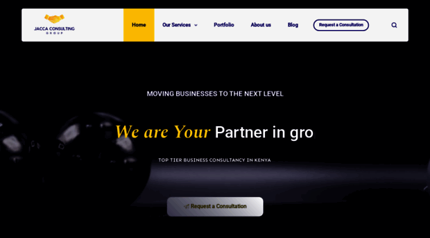 jaccaconsulting.com